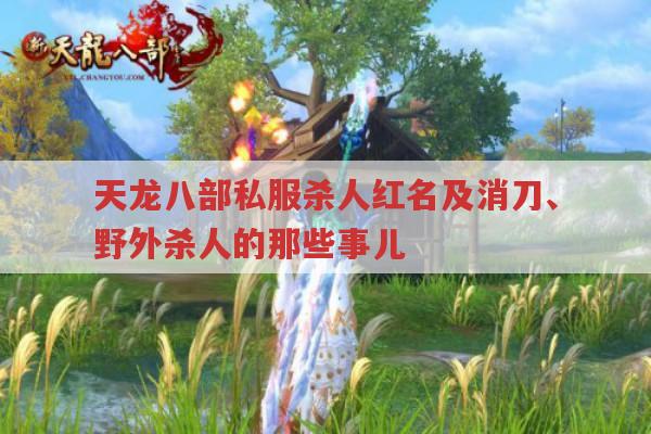 天龙八部私服杀人变红名?消刀有啥法?