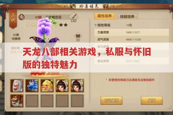 天龙八部相关游戏,私服与怀旧版的独特魅力