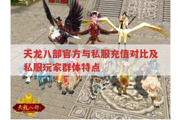 新天龙八部官方与私服充值对比及私服玩家群体特点