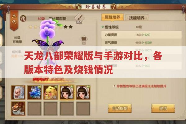 天龙八部荣耀版与天龙私服对比,有哪些不同?