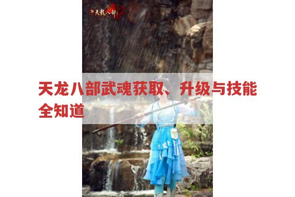 天龙八部中武魂怎么玩?武魂获取与提升全攻略