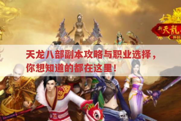 天龙八部副本攻略及职业选择全解析
