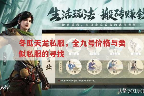 冬瓜天龙私服,全九极品号价格与类似私服的探寻
