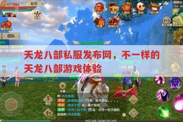 天龙八部各版本体验,官方服受限,私服有何不同?