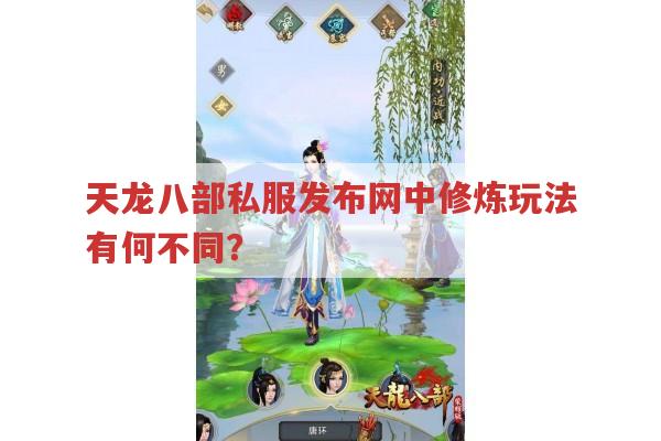 天龙八部私服发布网中修炼玩法有哪些特点?