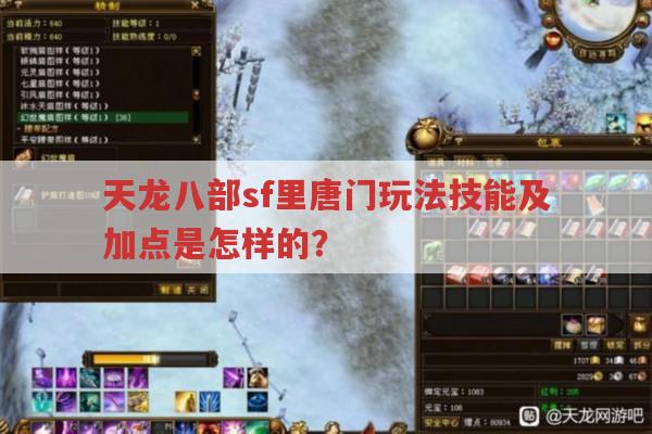 天龙八部sf里唐门技能玩法与加点是怎样的?