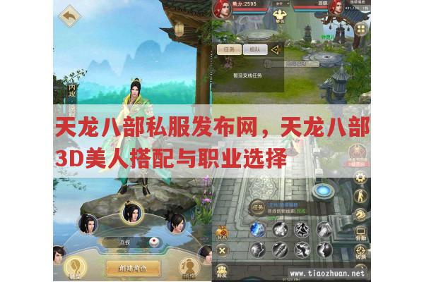 天龙八部私服发布网,天龙八部3D游戏玩法全解析