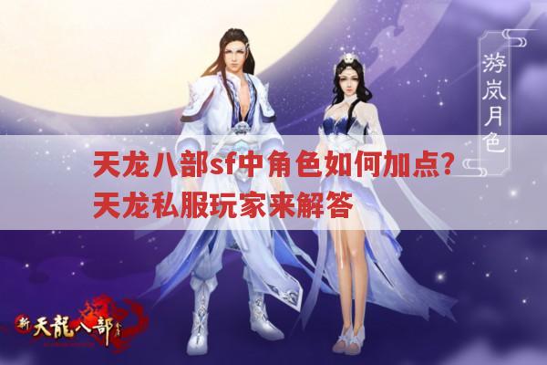 天龙八部私服发布网,角色加点有何策略?