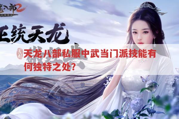 天龙八部私服里武当门派怎么样?