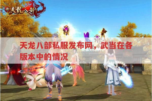 天龙八部私服发布网中武当副本属性等相关问题