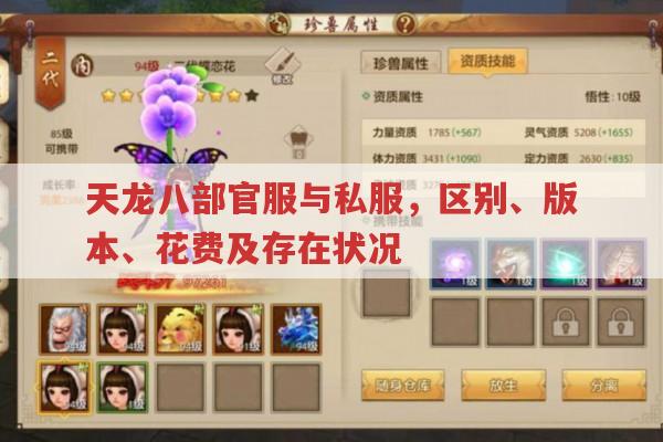 天龙八部官服与私服,版本、花费、稳定性有何差异?