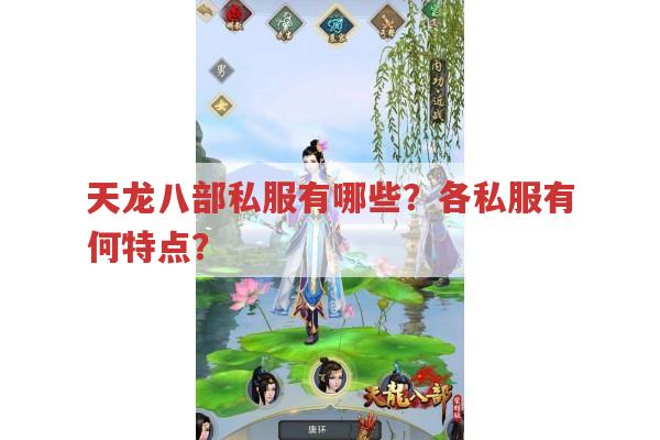 天龙八部私服有哪些?各私服特色与风险全知道