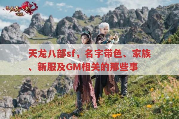 天龙八部sf,名字带色、家族、新服及GM相关问题全知道