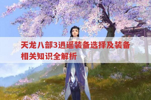 天龙八部私服,逍遥装备选择、装备等级与宝石镶嵌全解析
