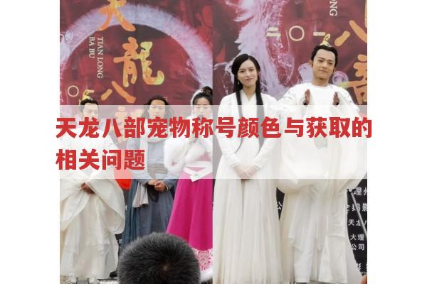 天龙八部宠物称号颜色与领取、获得的相关问题