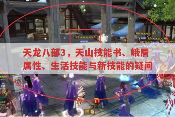 天龙八部3天山技能书与峨眉攻属性及生活技能问题