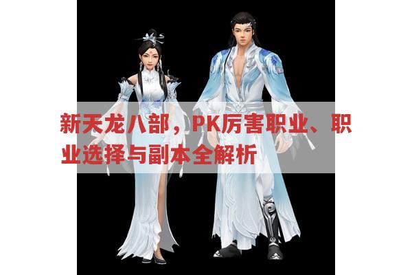 新天龙八部手游,PK厉害职业与副本、职业选择有哪些?
