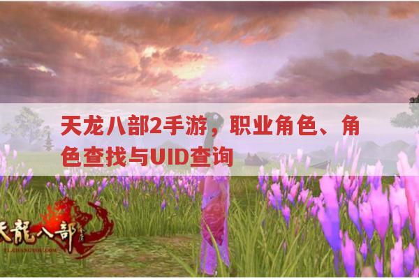 天龙八部2手游,职业角色、角色查找与UID查询