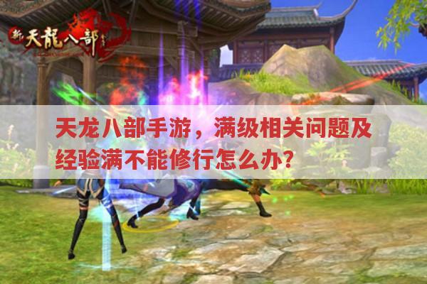 天龙八部手游,英雄谱满级、披风等级与经验满不能修行的解答