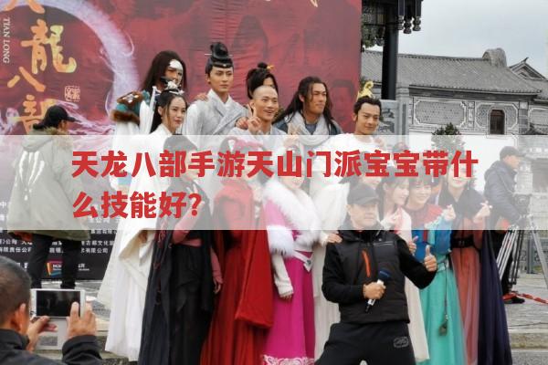 天龙八部手游天山门派宝宝技能怎么搭配?