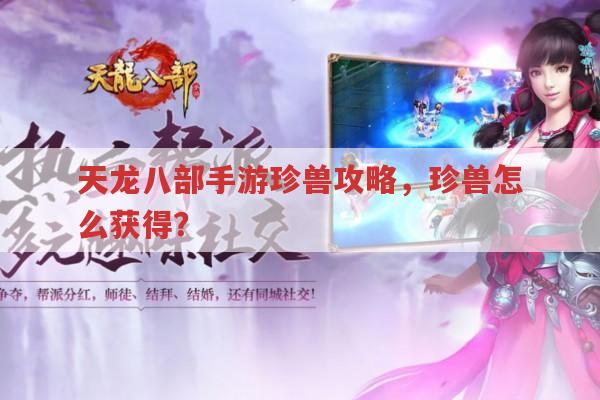 天龙八部手游珍兽攻略,珍兽获得途径有哪些?