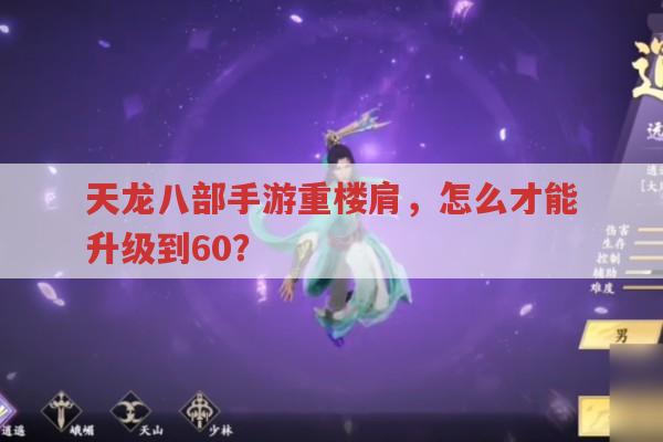 天龙八部手游重楼肩,想升级到60有啥办法?