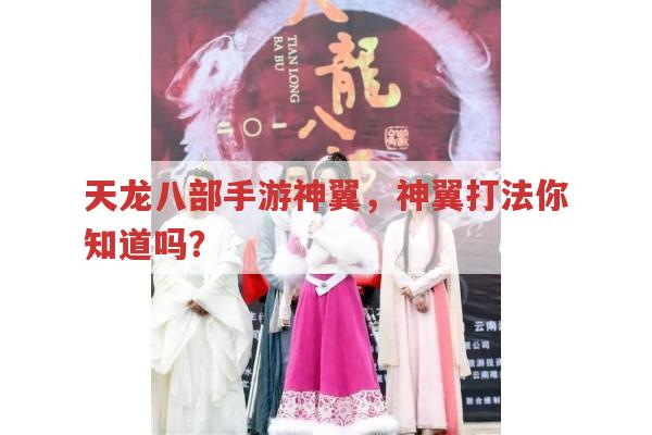 天龙八部手游神翼,神翼打法有哪些?