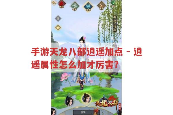 手游天龙八部逍遥加点-逍遥属性加啥才最厉害?