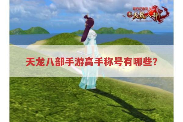 天龙八部手游高手称号都有啥?