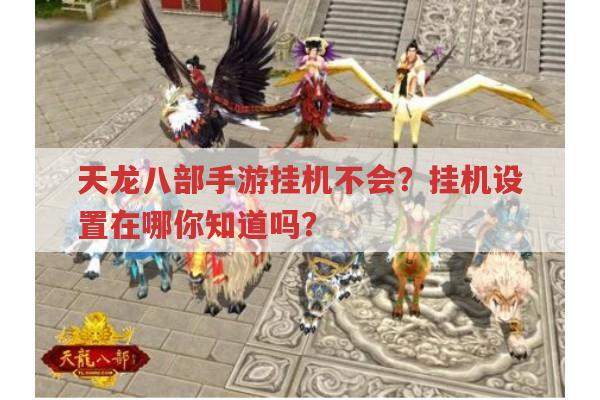 天龙八部手游挂机不会?挂机设置在哪呢?