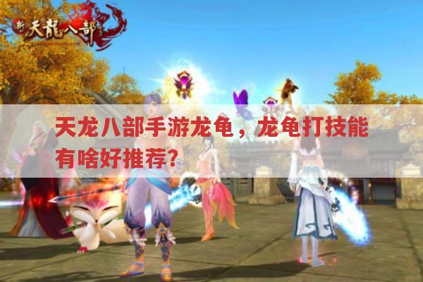 天龙八部手游龙龟,龙龟打技能怎么搭配才好?
