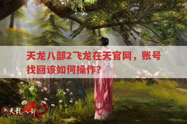 天龙八部2飞龙在天官网,账号丢了怎么在官网找回?