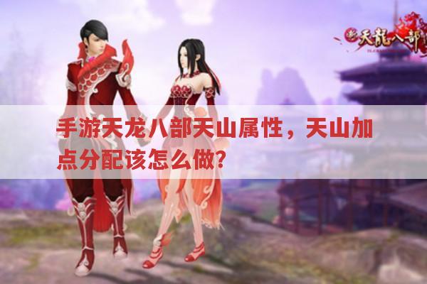 手游天龙八部天山属性,天山加点分配有何策略?